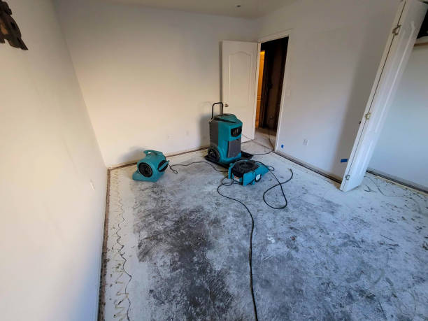 Best Basement water damage restoration  in Granbury, TX