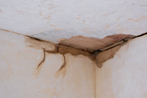 Best Residential water damage restoration  in Granbury, TX