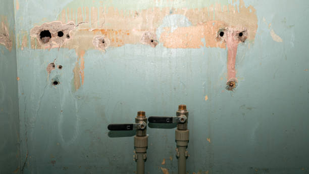 Best Flood restoration services  in Granbury, TX
